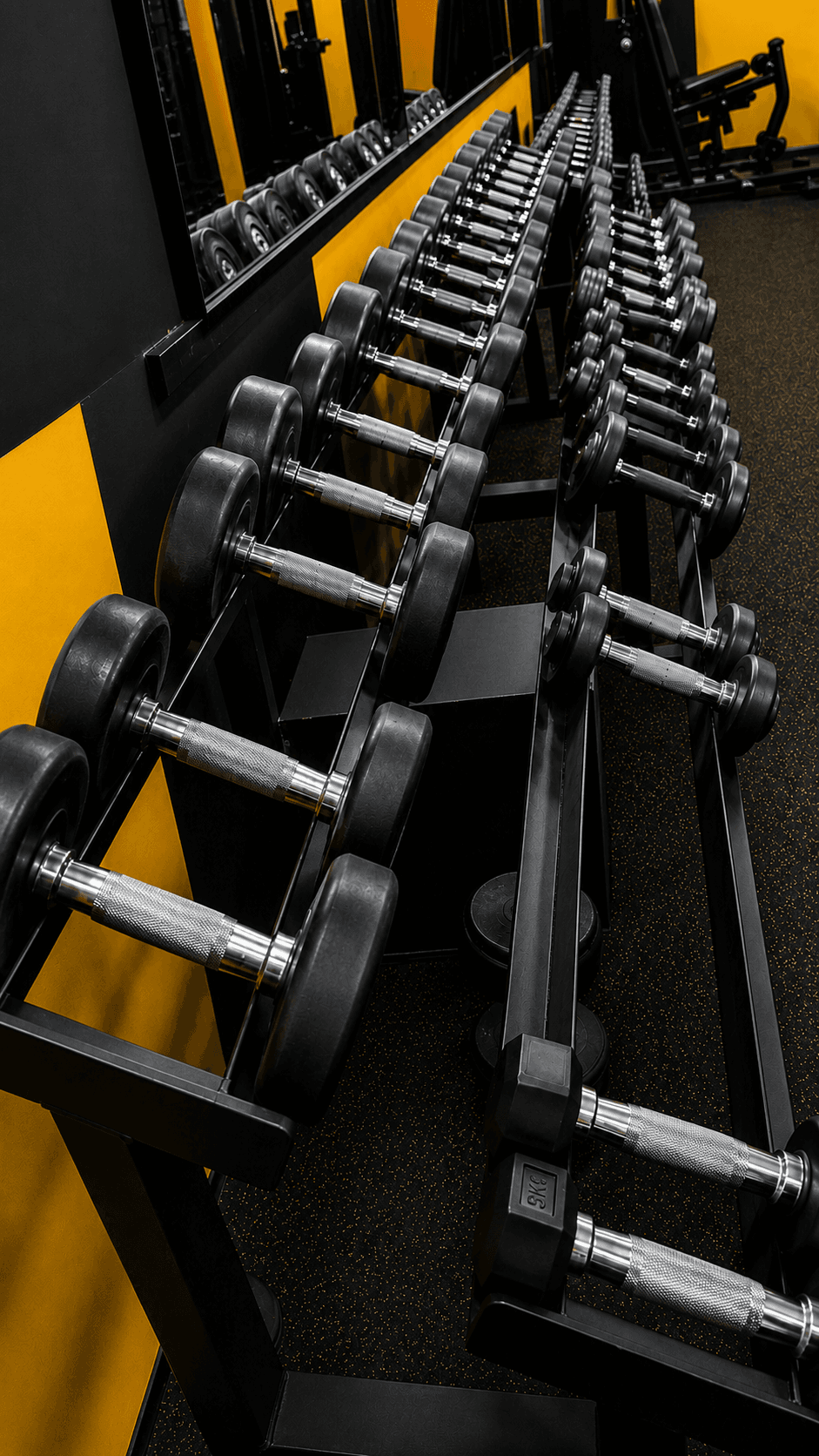 Organised dumbbell rack at Goodlife Fitness Kumbhari