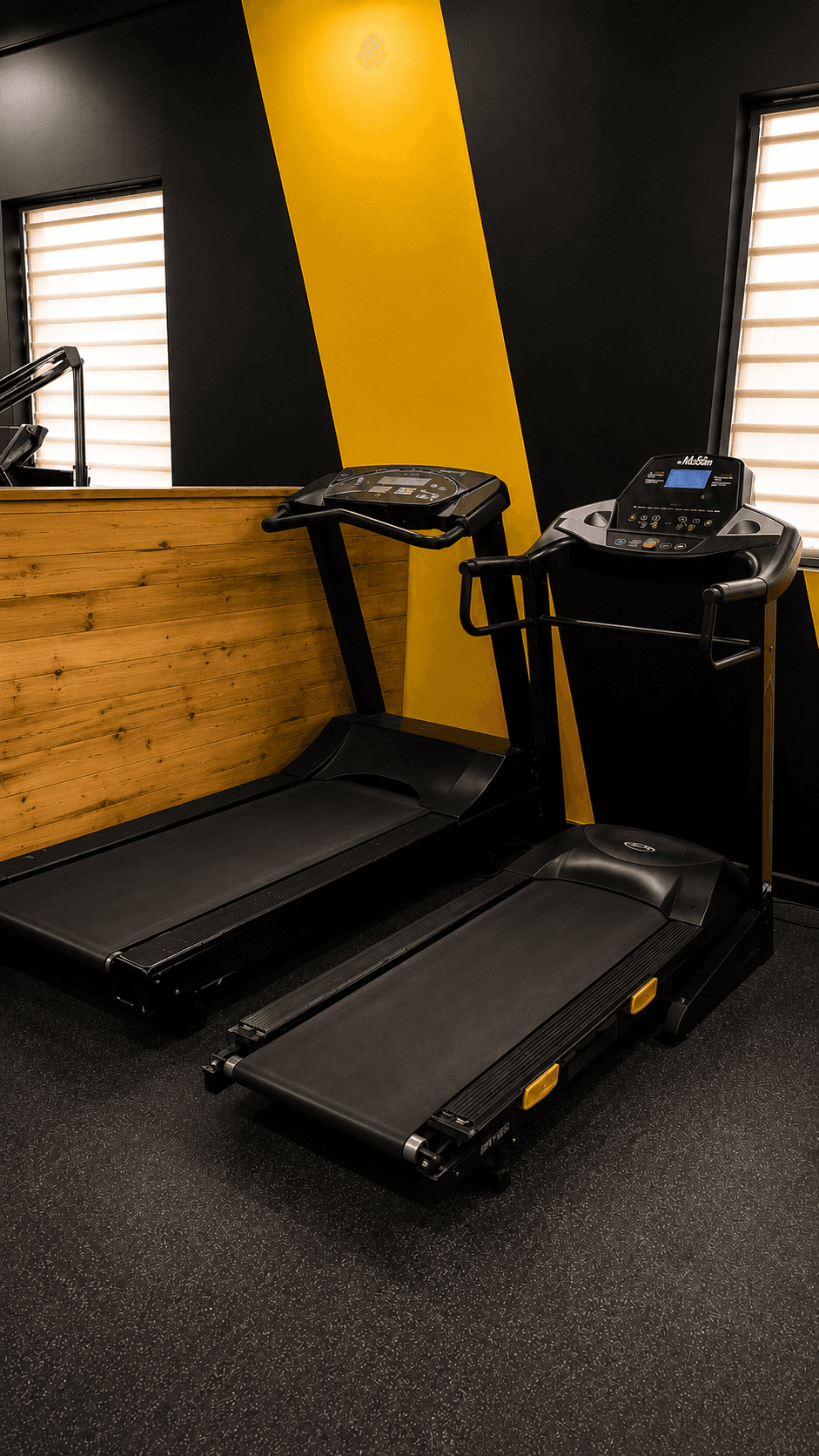 Two treadmills in the Goodlife Fitness Kumbhari cardio area
